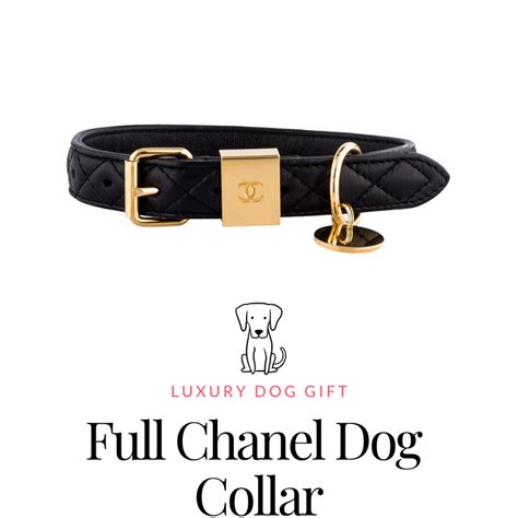 chanel kitten collar|full chanel dog collar.